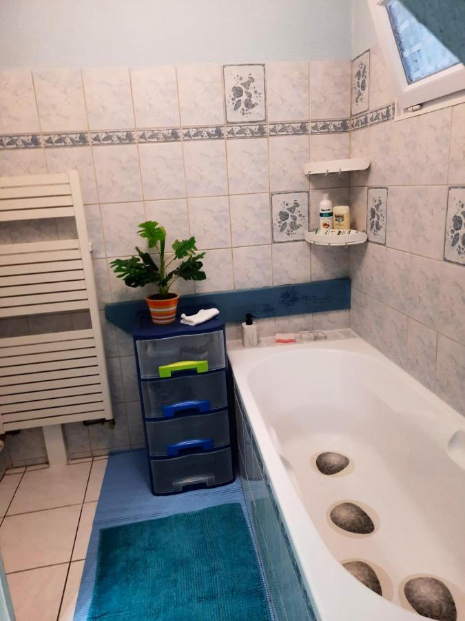 Appartement Spacieux A Ingersheim Avec Vue Sur Jardin 100 M² 外观 照片