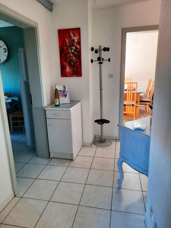Appartement Spacieux A Ingersheim Avec Vue Sur Jardin 100 M² 外观 照片